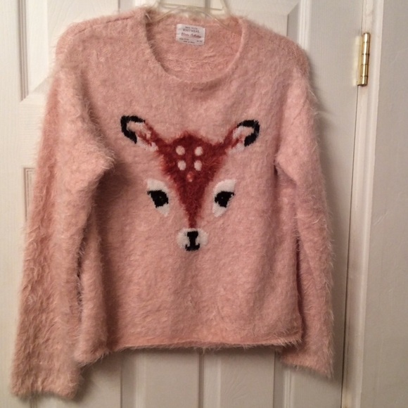 Zara Other - ZARA deer sweater.